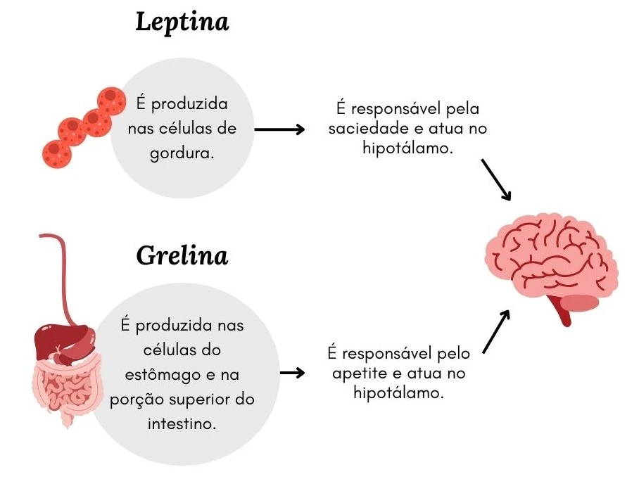 Ciclo circadiano