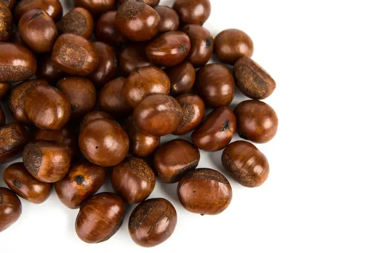 As castanhas engordam?